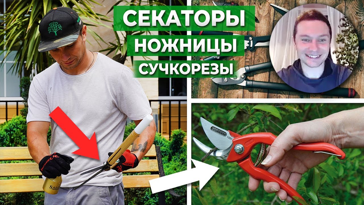 Как выбрать качественный садовый секатор. Обрезка деревьев. Кусторезы и ножницы для сада