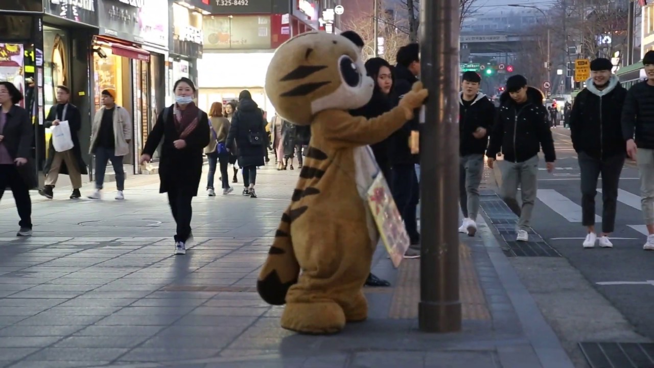 JHKTV] 신촌 명물고양이 괴로워 shin chon  special cat dance whither must i wonder