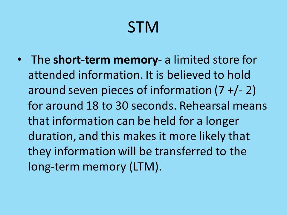 Cognitive psychology   Multi store model