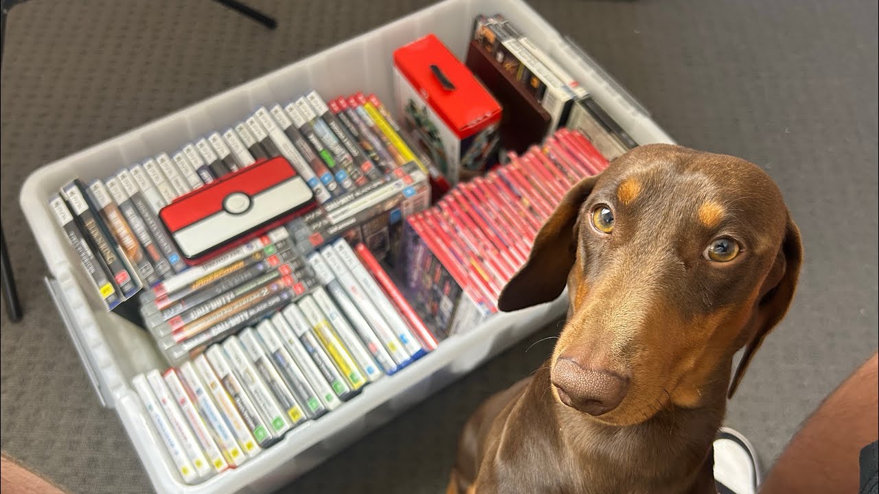 My complete and curated VIDEO GAME COLLECTION in 2025.