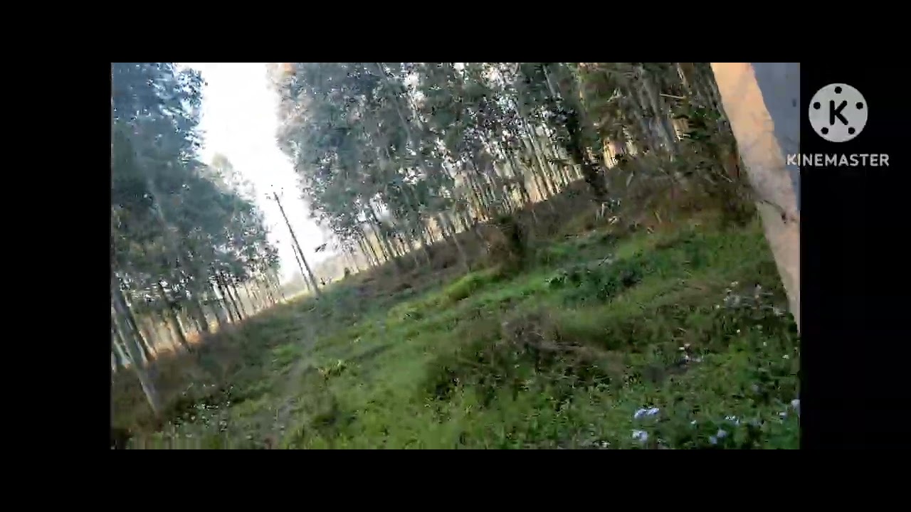 12 kille land for sale near Gardhiwala 