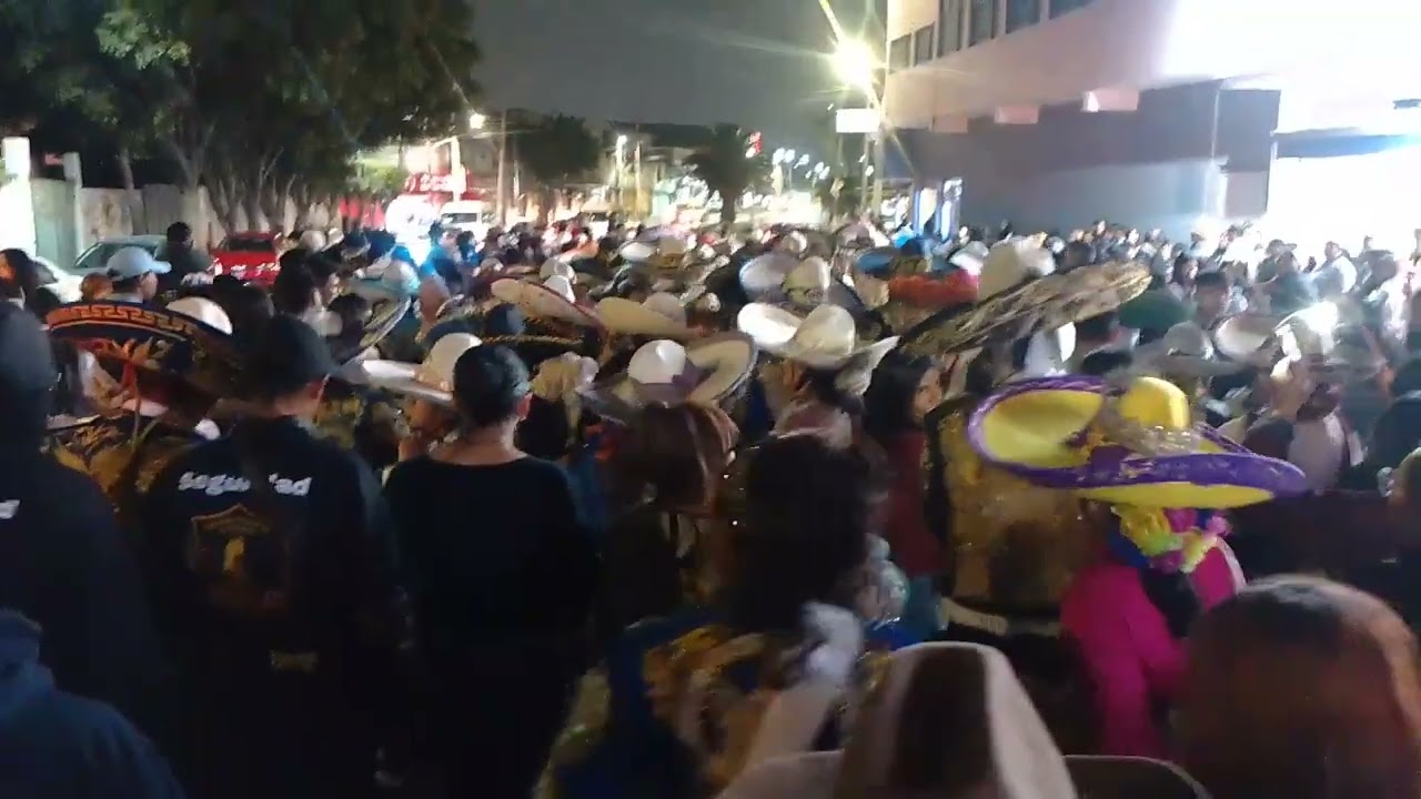 RECORRIENDO LAS CALLES DE LA COLONIA ANCON CON LOS POTRILLOS Y BANDA ALMA GRANDE 