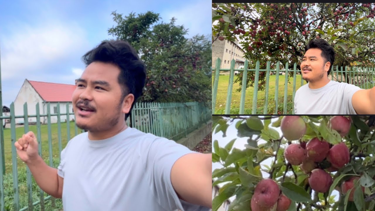 Slovakia 🇸🇰 apples 🍎😊 स्लोभाकिया 🇸🇰 मा स्याउ 🍎 धेरै राम्रो छ है साथिहरु 😊 