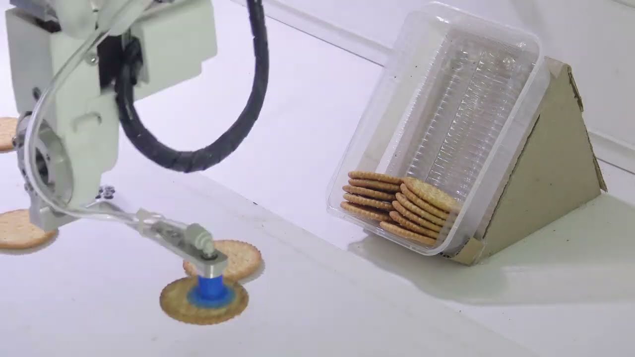 The Delta X S D600 5-axis robot performs a pick and place application with cookies.
