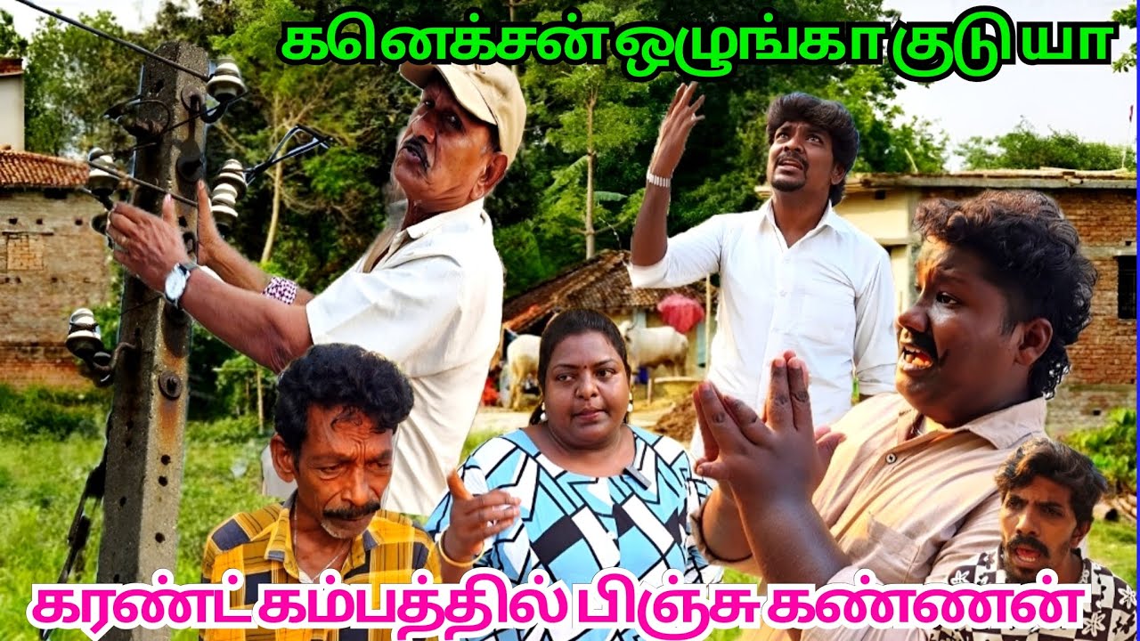 கரண்ட் கம்பம் ஏறும் பிஞ்சு கண்ணன் உன்னால தான் என் வீட்டுக்கு கனெக்க்ஷனே போச்சு | Fun Torture