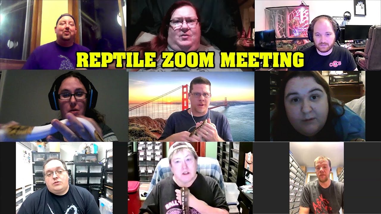 Reptile ZOOM!!  About a safe place to buy, sell, get help, and have FUN with SNAKES!