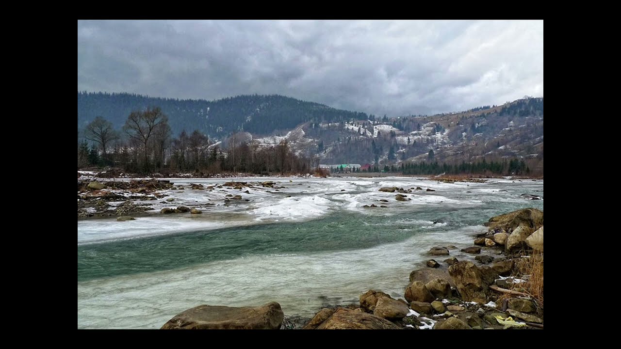 Stalich.Черемош.