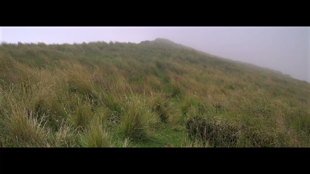 Mount Herbert Visual Soundscape