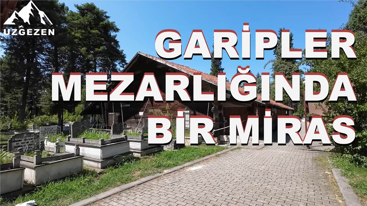 Türünün Tek Örneği Olabilir.