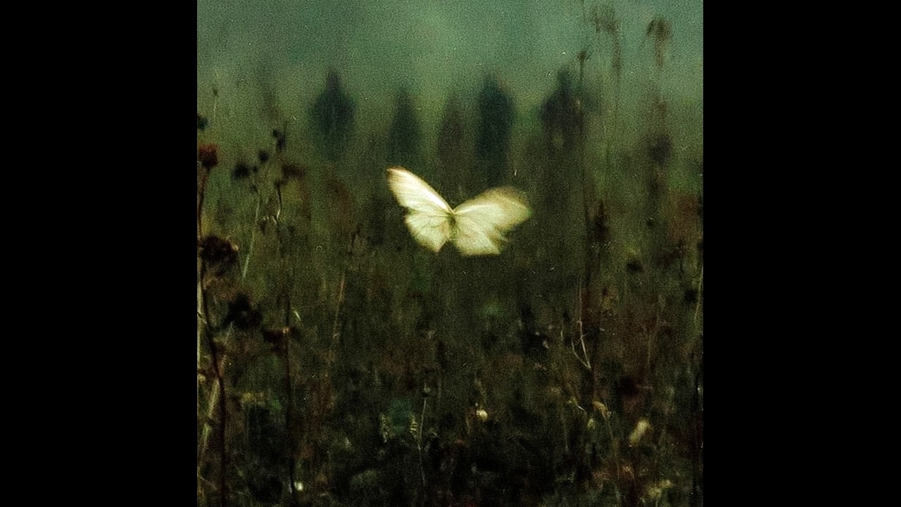 [free] deftones / shoegaze / alternative rock type beat 