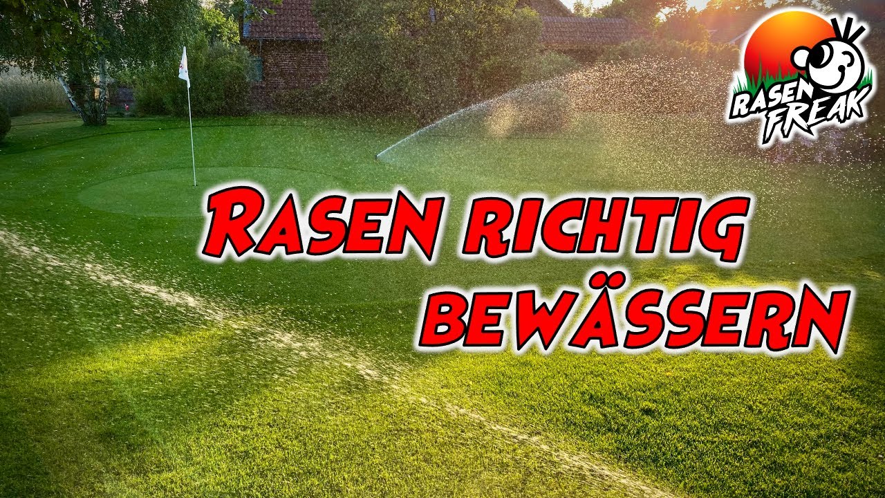 RASEN richtig bewässern! TIPPS und TRICKS zur Rasenbewässerung. Wasser, Wasser braucht der Halm!