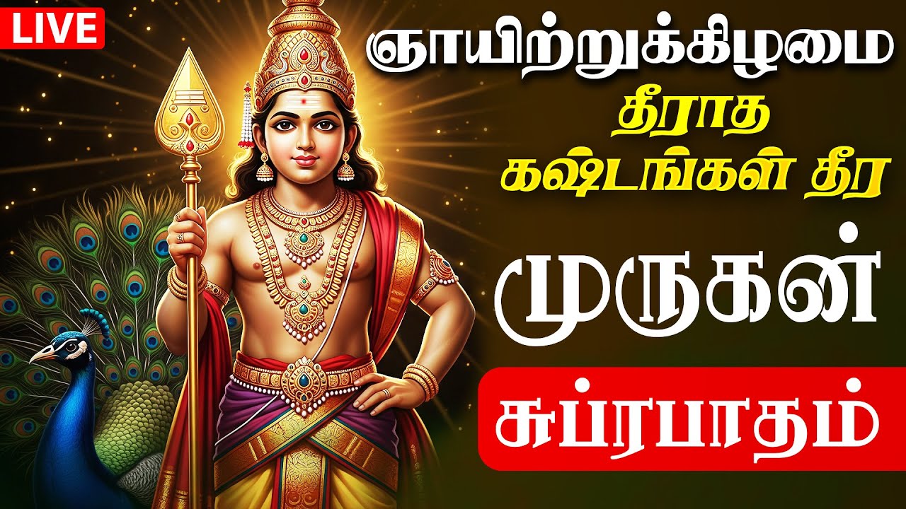 🔴LIVE SONG| தை புதன்கிழமை கேட்க வேண்டிய முருகன் சுப்ரபாதம் Murugan Suprabhatam Tamil Bakthi Paadal