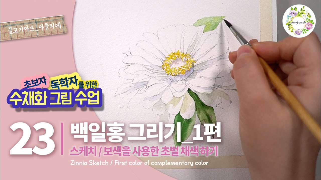 수채화 백일홍 그리기 / 23강_초보자 독학자를 위한 수채화 그림 수업, 물고기아트 watercolor painting,수채화 꽃 그림그리기, 꽃 수채화 일러스트, 취미수채화