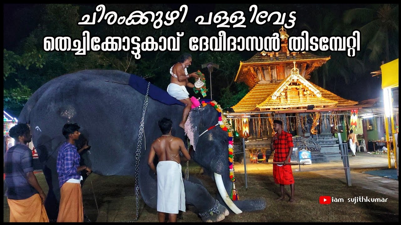 ചീരംക്കുഴി പള്ളിവേട്ട രാമാനുജന്‍ തിടമ്പേറ്റി 🙏 Thechikkottukavu Devidasan | Chadayan Rajendran