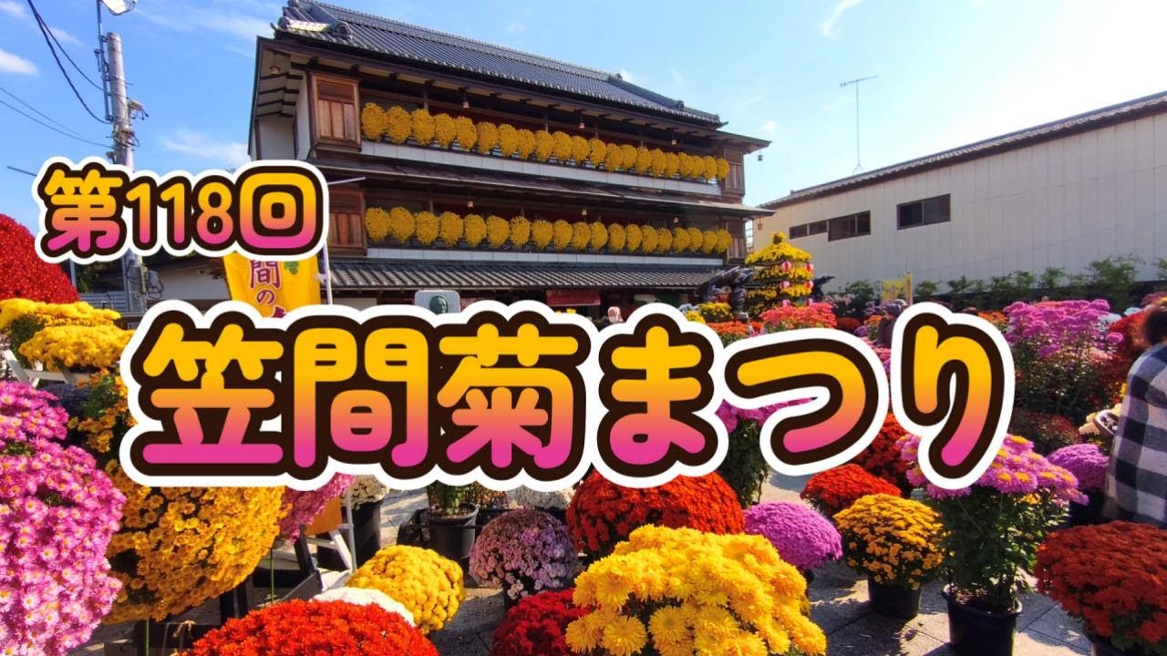 【笠間菊まつり】笠間稲荷神社をメイン会場として、多種多様な菊の花を楽しめる伝統的行事です。
