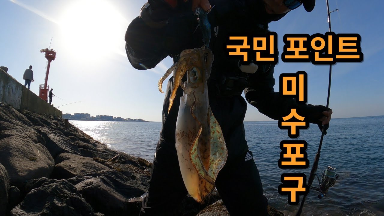 [ 제주도 ]무늬오징어 낚시는 국민 포인트가 국룰!! 미수포구 1편