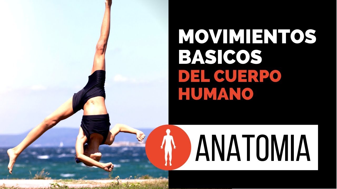 Movimientos básicos del cuerpo humano. Con ejemplos.