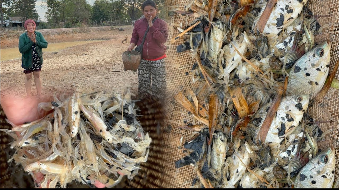 ชวนน้าไปหาส่อนกุ้งหมานๆ