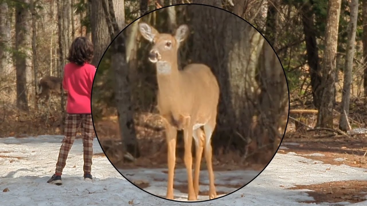 Into the Wild: Our Kawarthas Hiking Adventure with Up-Close Animal Encounters! 