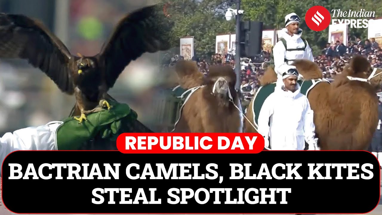 Him Yodha 'Silent Warriors': Camels, Dogs & ATVs Steal the Republic Day Show On Kartavya Path
