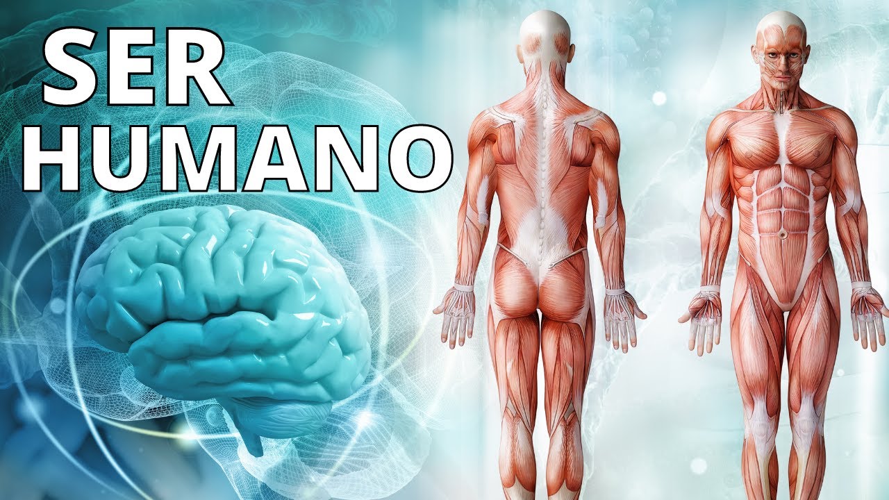 ¿Qué es el SER HUMANO? Origen, características, etapas de la vida, sentidos, necesidades🙍‍♂️