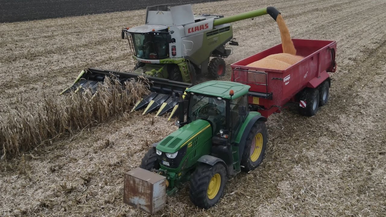 K&ouml;rnermais Ernte: CLAAS LEXION 750 mit Olimac DRAGO Maisgebiss/Maispfl&uuml;cker Lohnunternehmen: F&auml;rber
