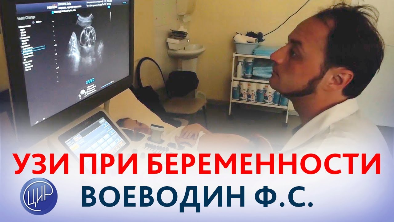УЗИ при беременности в ЦИР. Второй скрининг. 21 неделя беременности. Приём ведёт Воеводин Ф.С.