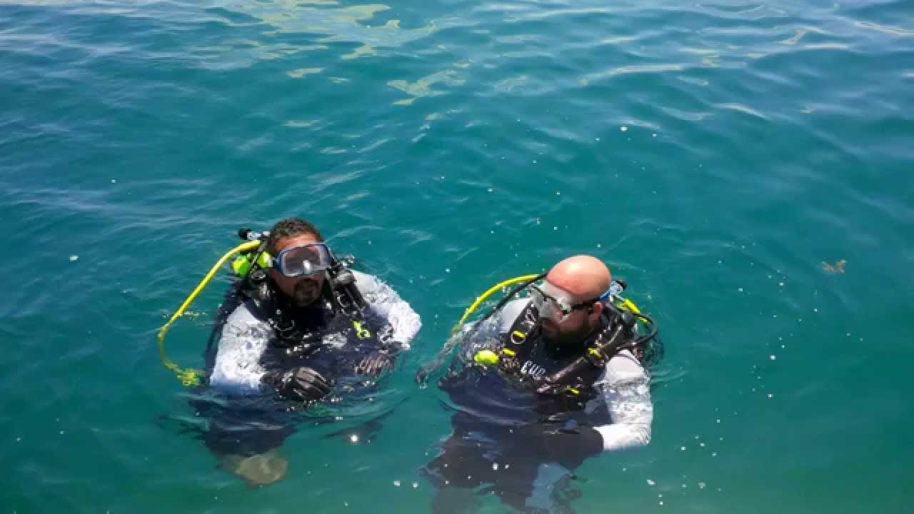 CLEARWATER DIVE OPS 2014
