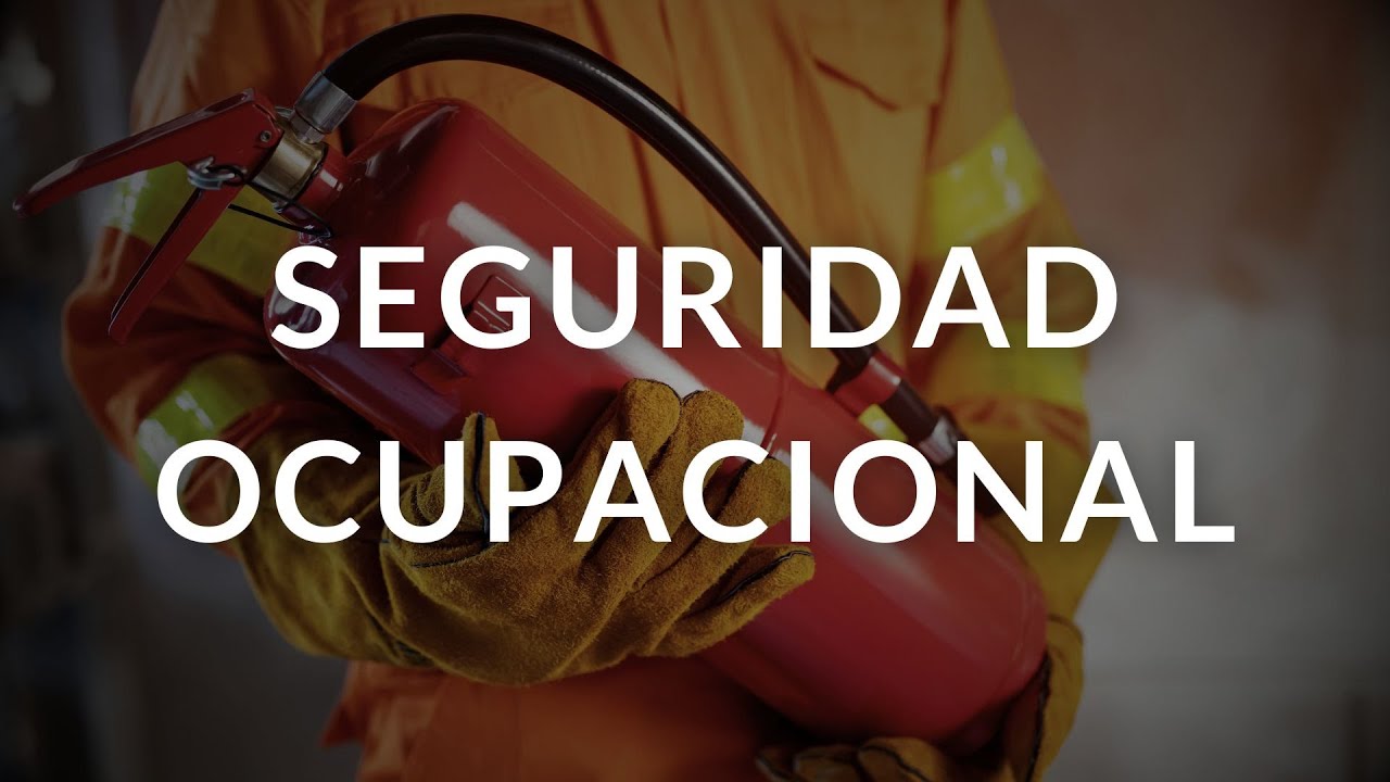 Seguridad Ocupacional
