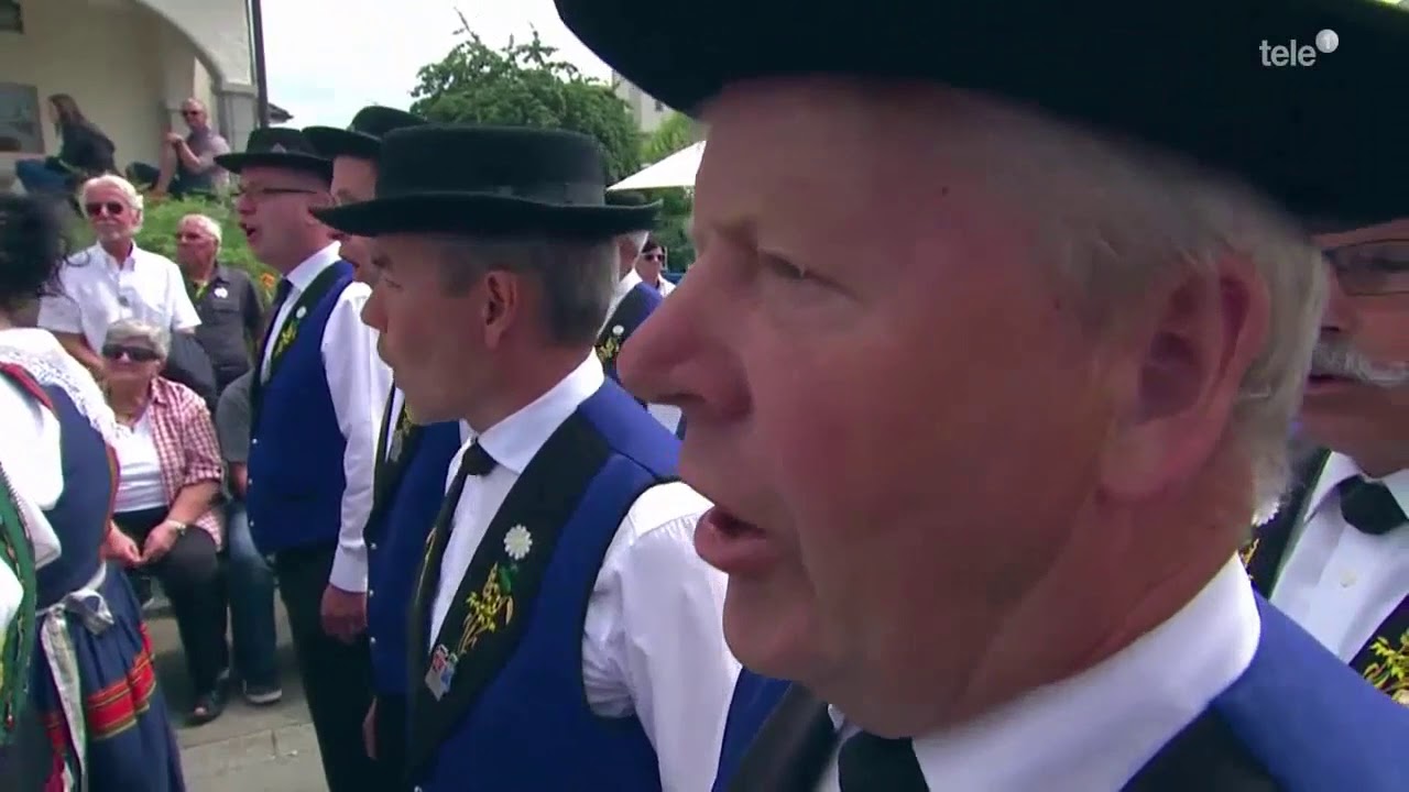 festlicher Umzug in Schötz