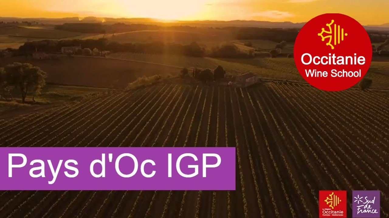 Mini masterclass #10: Pays d'Oc IGP – Occitanie Wine School