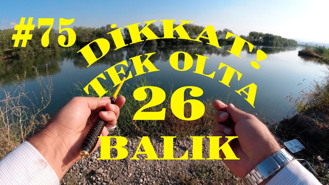 Arka Arkaya BALIK AVI.AT ÇEK.FLY fishing.Çekirgeyle.Catch Fish.Spinner.Chub.river.Unbelievable #75