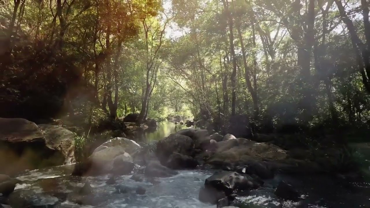VOLO - Viriditas