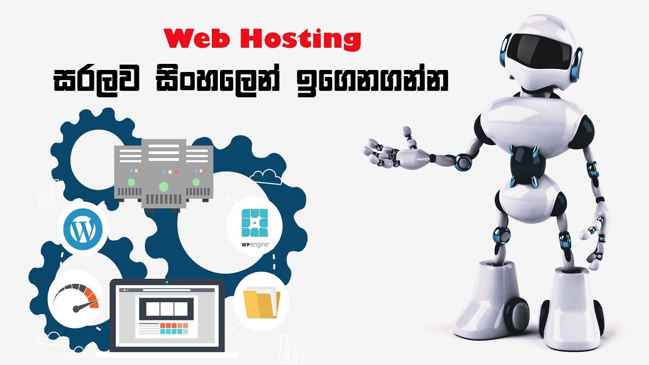 How to do Web Hosting? - Sinhala