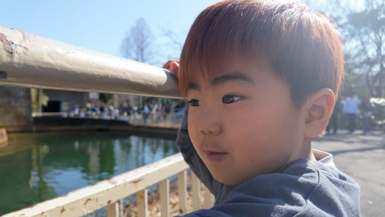 サイゼリヤからの東山動物園！