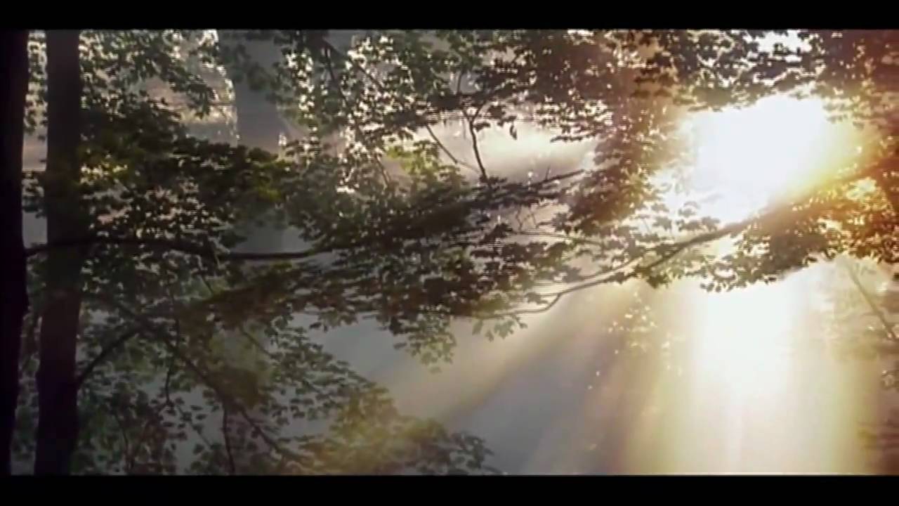 Joseph Smith and His first Vision of God