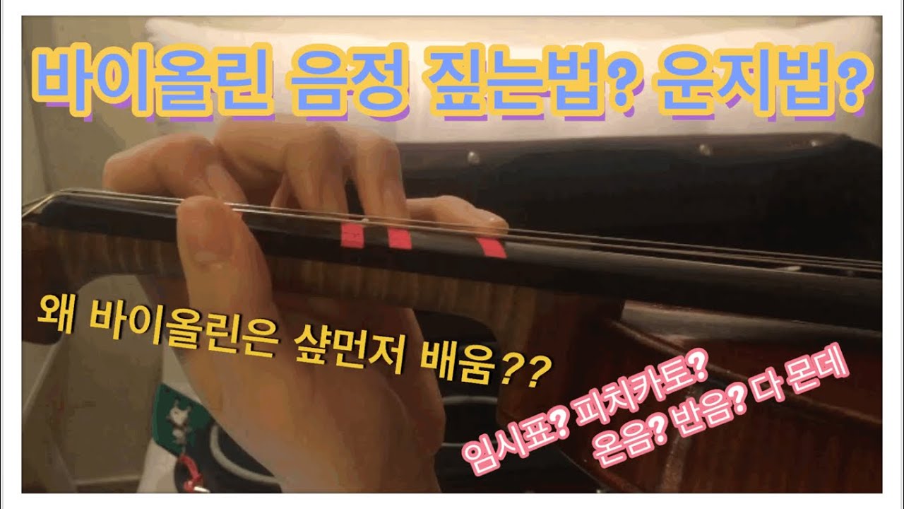 바이올린 1포지션 음정 및 운지법 뿌시기! 안보면 내손해