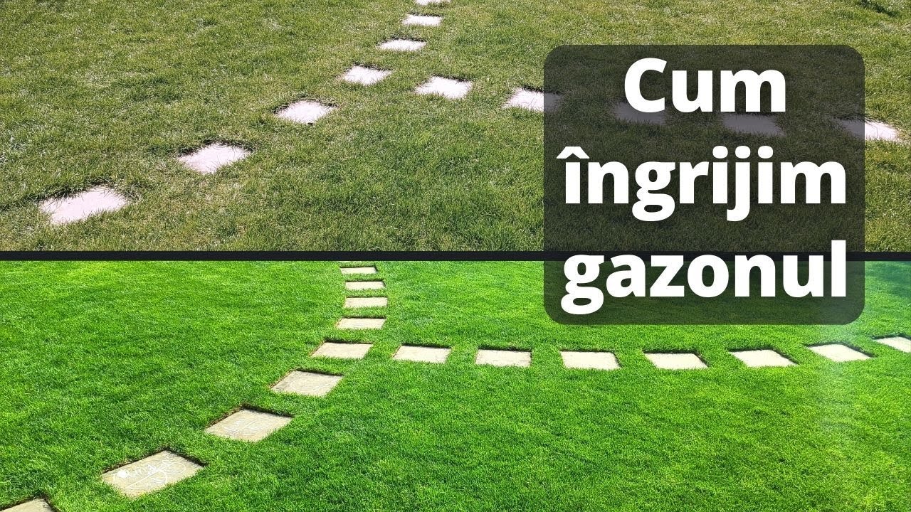 Intretinere gazon primavara | Ingrijirea gazonului