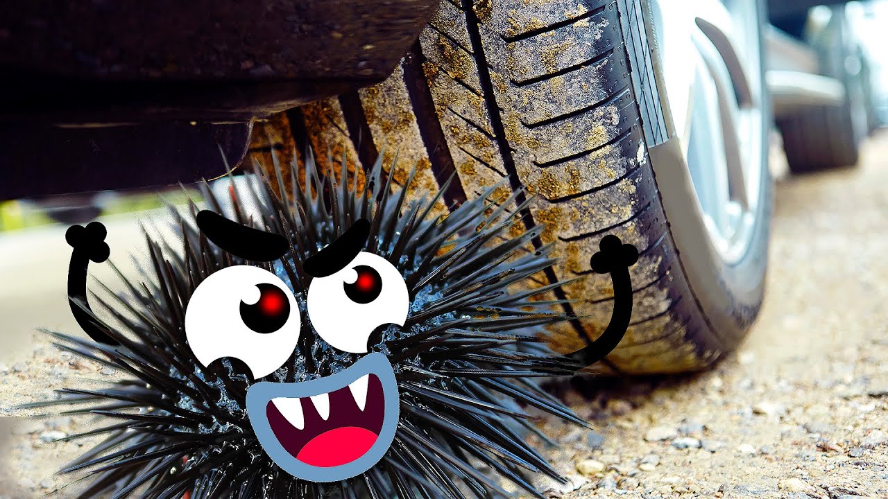 Hehe! Tricky Guys Prank Us Every Day! Funny Doodles And Their Crazy Plans! - # Doodland 579