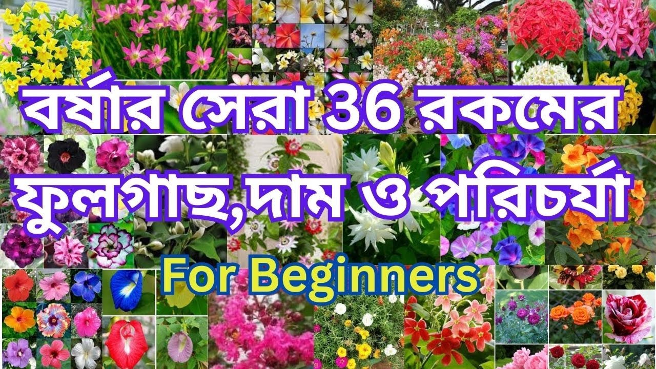 বর্ষার সেরা 36 রকমের ফুল গাছের নাম , দাম ও পরিচর্যা i Rainy Season flowers for beginners #plants