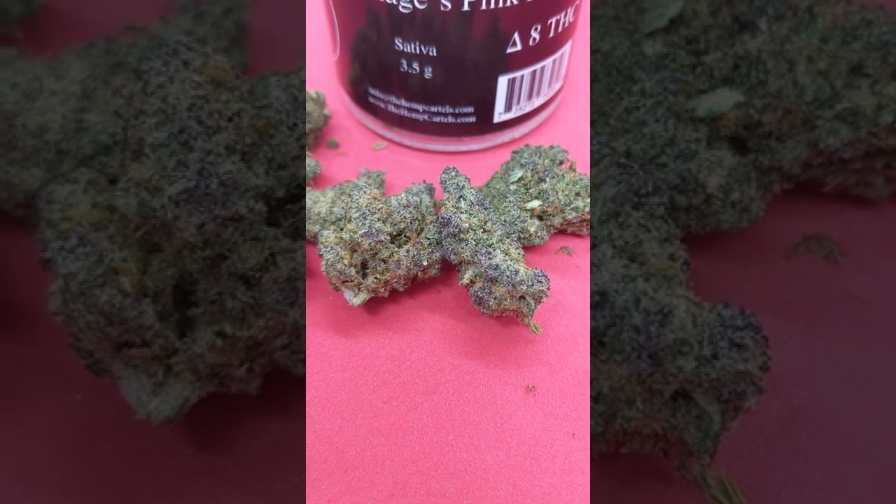 ⛽🦩🚨Karnage Pink Panther from Hemp Cartels Delta 8 THC flower🚨🦩⛽