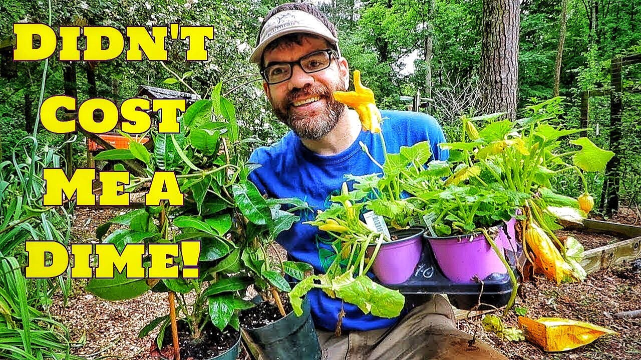 FREE PLANTS! (How We Got FREE Plants & Veggies)
