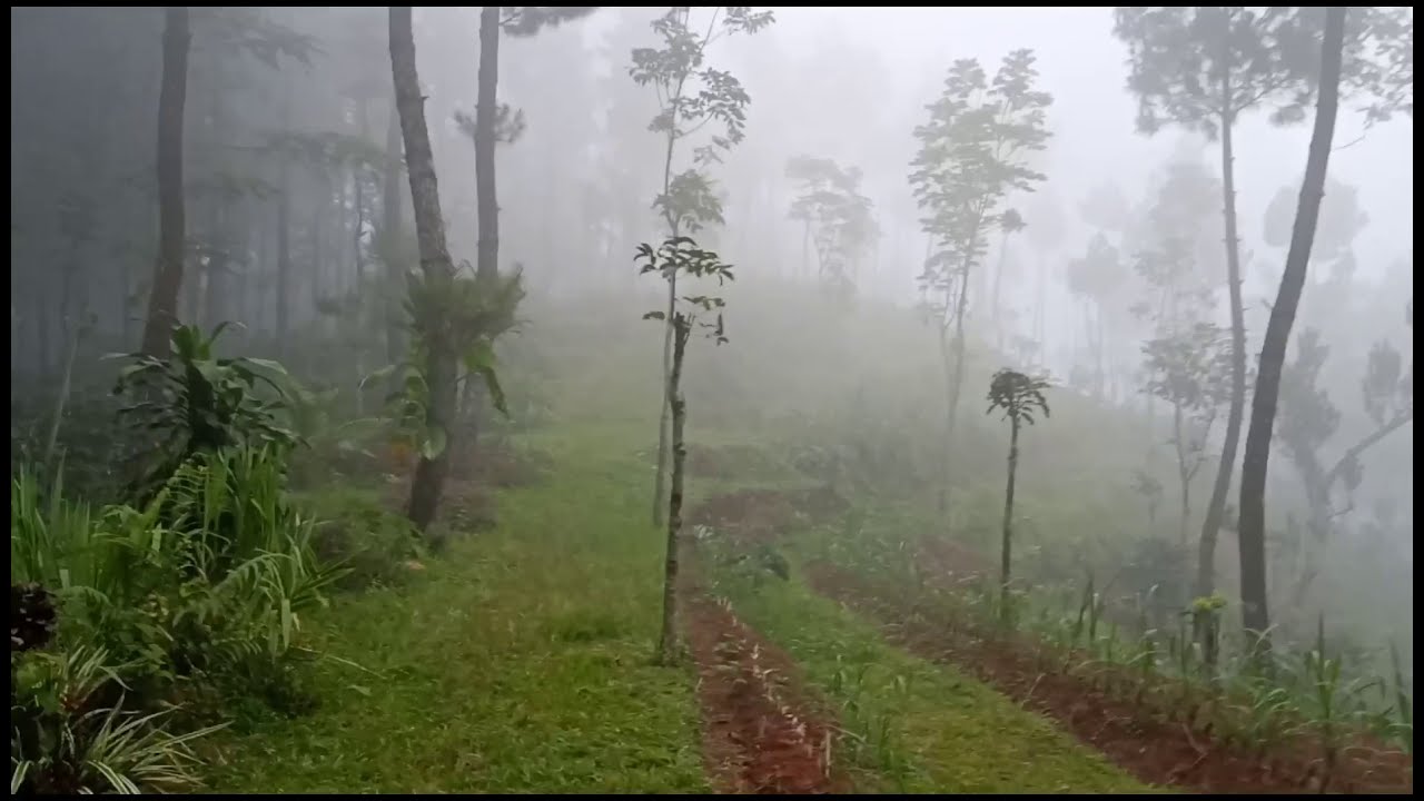 Bukit Sapu Angin | Wisata Religi Tlogopucang, Temanggung.