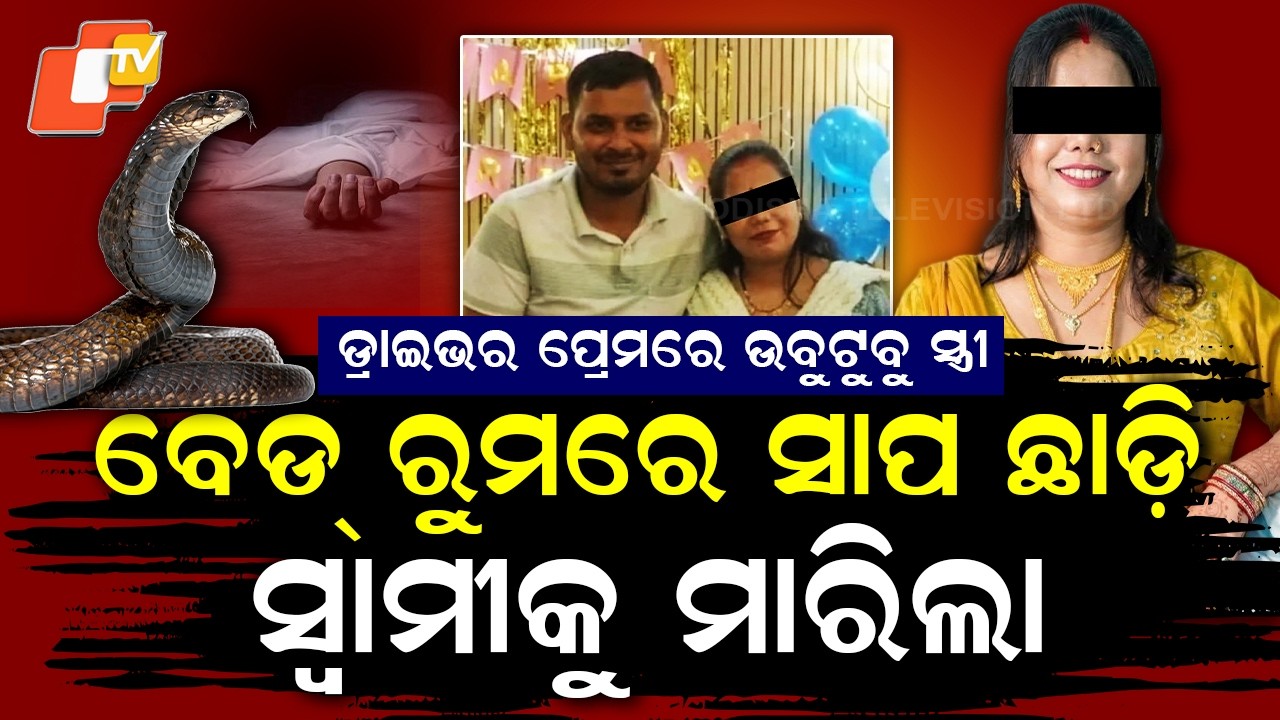 Special Story: Meerut Snake Murder Mystery: Wife Lover Allegedly Used Venomous Snake to Kill Husband