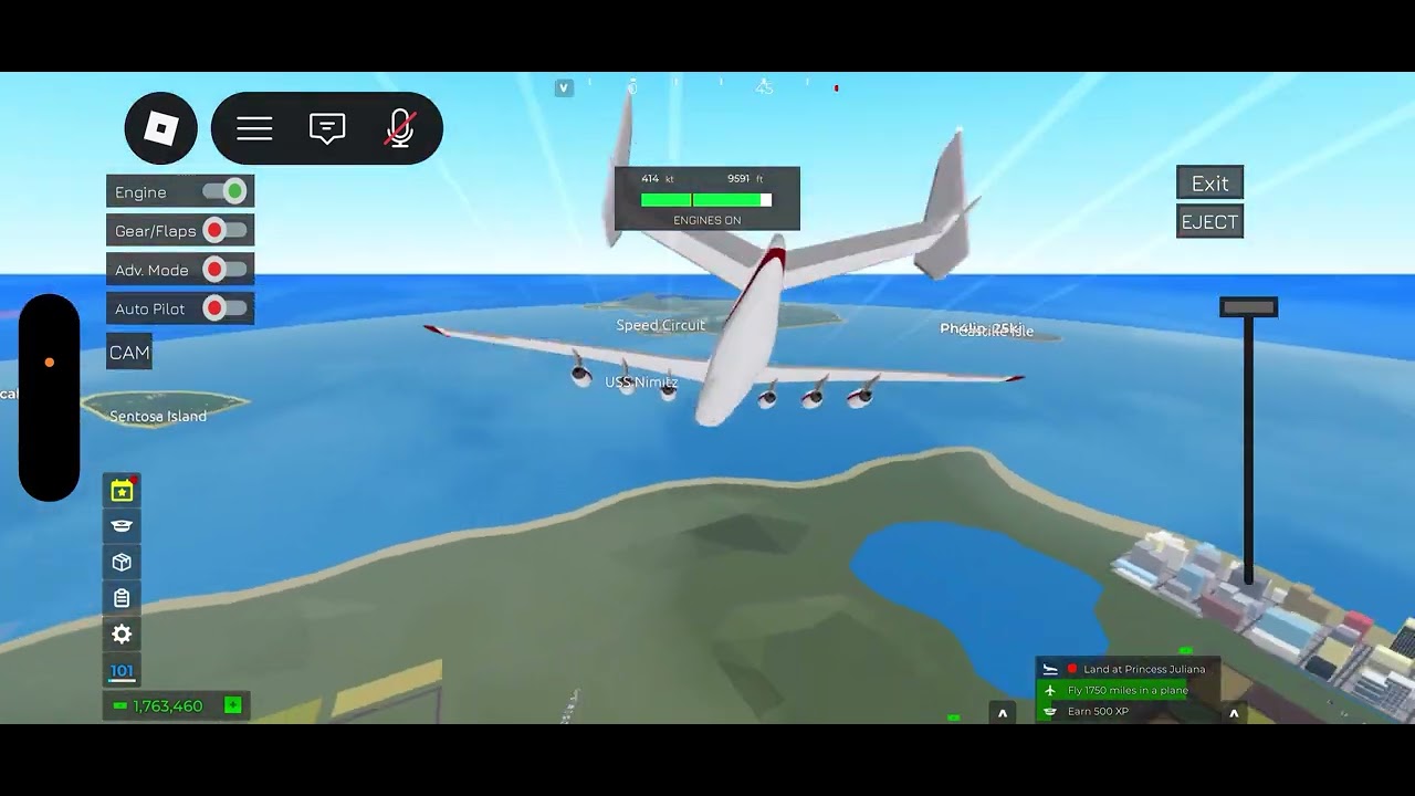 Flight sim 