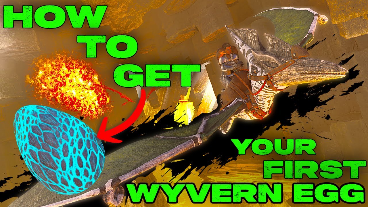 How To Get YOUR FIRST WYVERN EGG in Ark Survival Ascended On RAGNAROK!!!