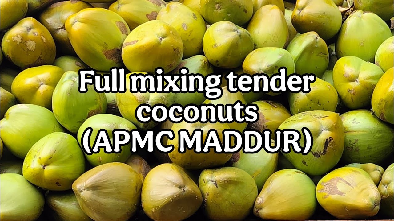 Full mixing tender coconuts, 16/12/2025, apmc market Maddur. 