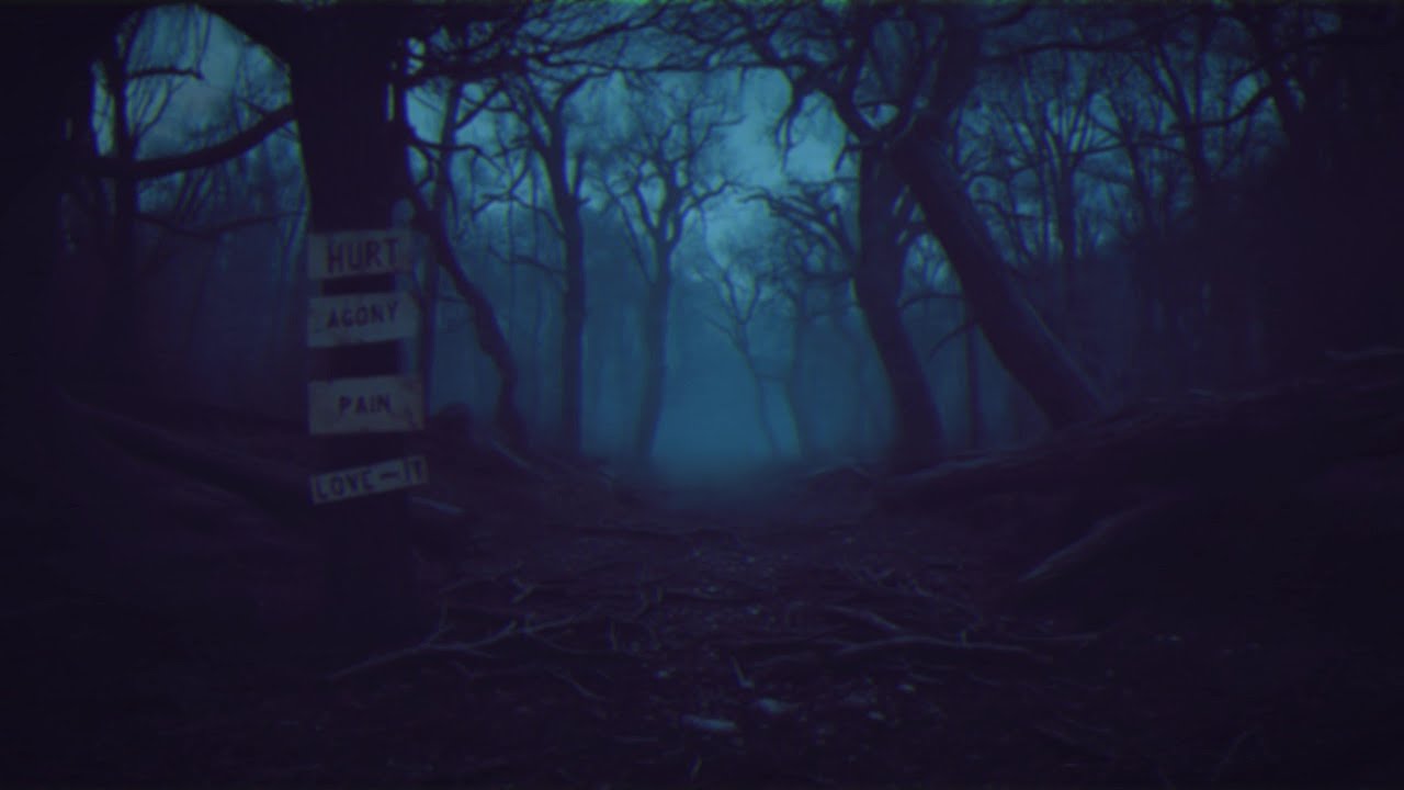 the woods near quantico