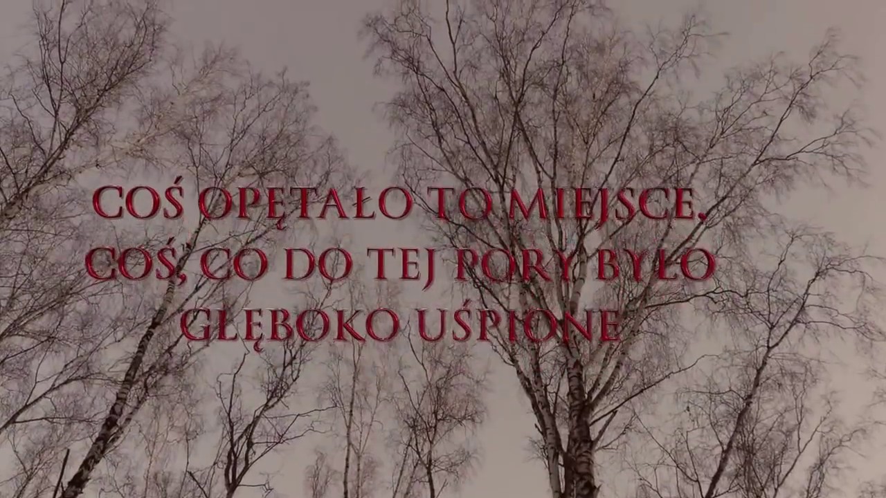 Krzysztof Zajas OSZPICYN - TRAILER