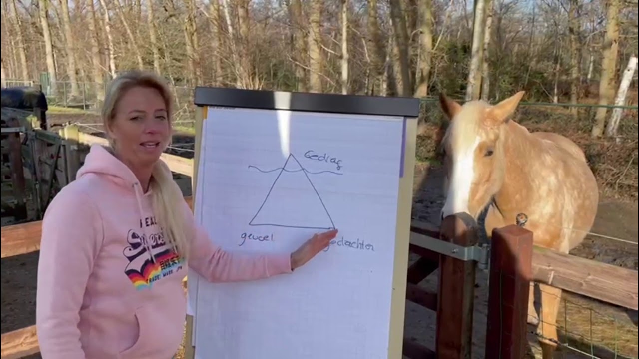 Authentiek zijn, het congruentie-model